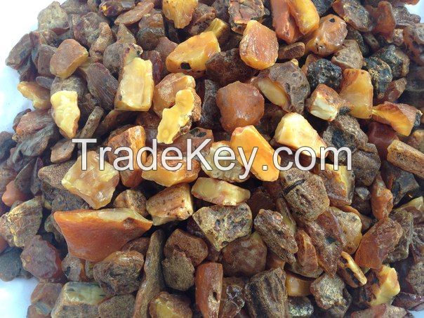 Natural baltic amber (Samples Available )