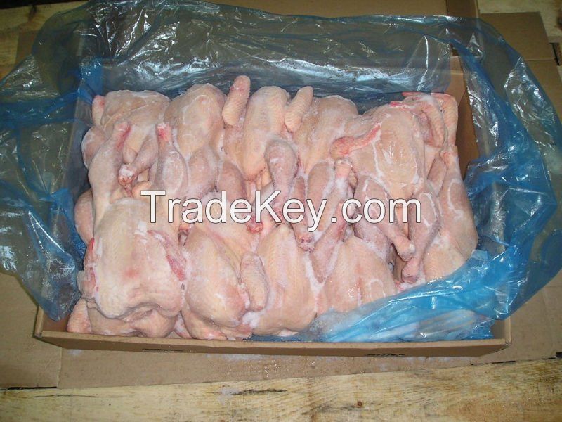 High Quality Certified HALAL Frozen Whole Chicken