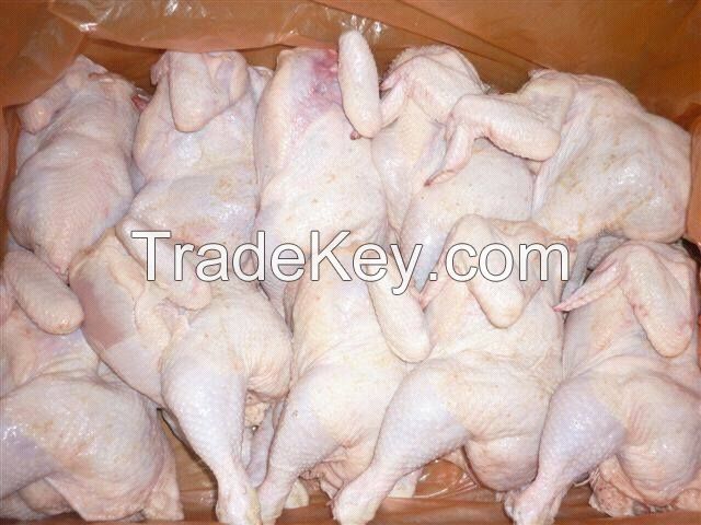 Halal Frozen Chicken Pieces