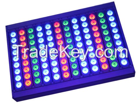 to sell LED RGB Flood Light 1000w, 800w, 500w, 300w