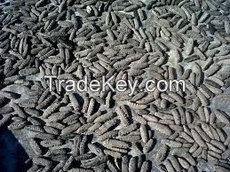 DRIED SEA CUCUMBER