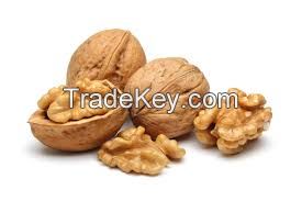 walnut