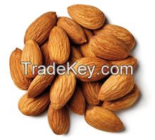 Best Quality Almond Nuts / Raw Natural Almond Nuts / Organic Bitter Almonds