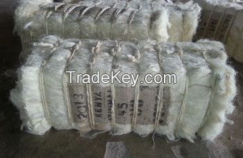 100%  NATURAL  RAW  SISAL  FIBER  UG  GRADE  1 FROM  KENYA