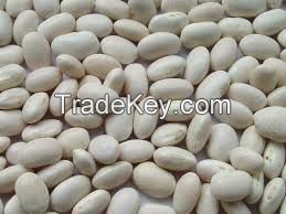 White Kidney Beans