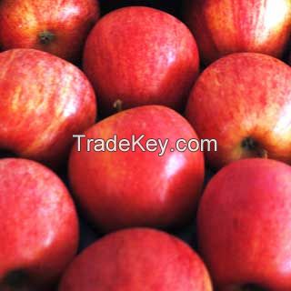 Royal Gala Apples