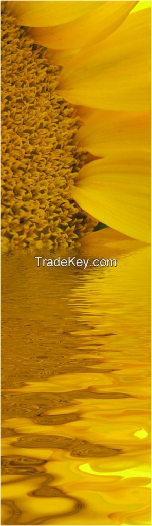 Refined Sunflower oil in bulk