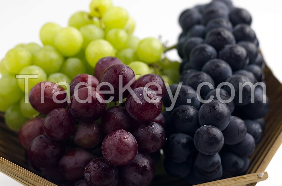 Fresh Sweet Grapes