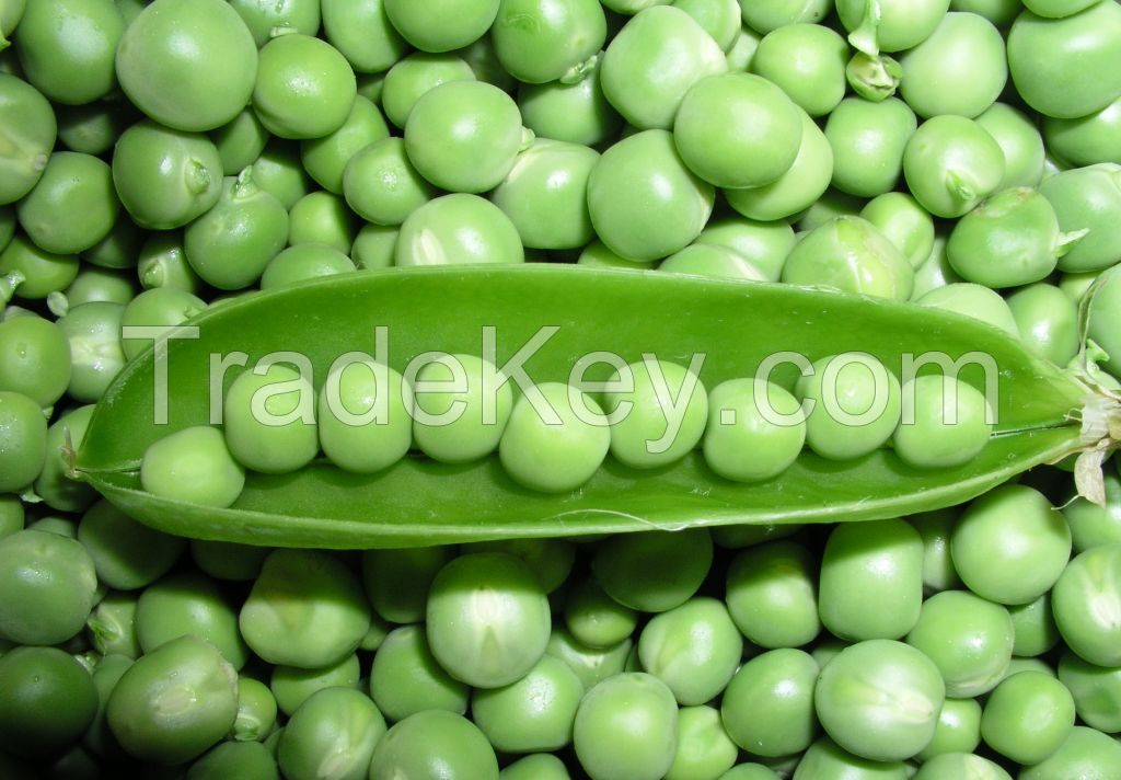 frozen green pea