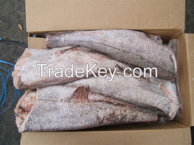 Fresh frozen Hake whole fish