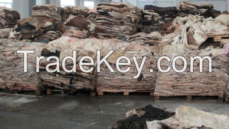 100% DRY SALTED DONKEY HIDES / WET SALTED DONKEY HIDES