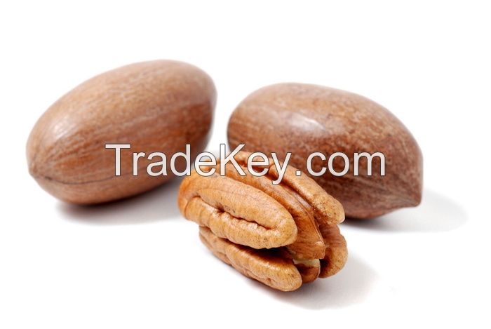 pecan nuts