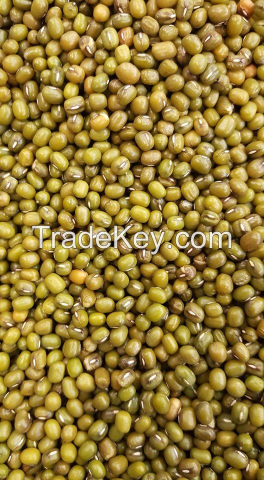 Fresh Delicious Green Mung Bean