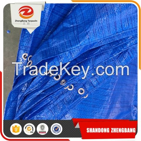 PE tarpaulin Plastic sheet