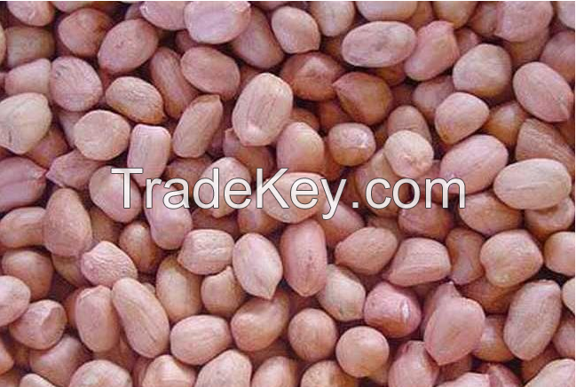 Sell groundnut kernels