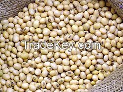 Coriander seed, cotton seeds, fish meal, flax seed, Soybean