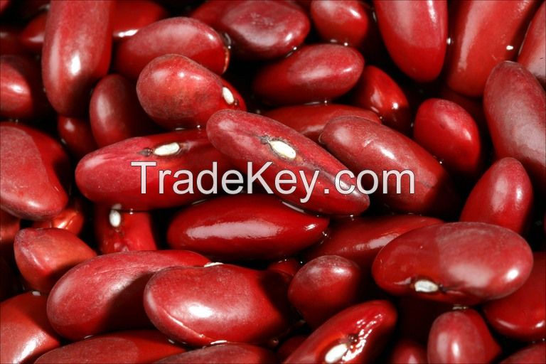 new crop red kidney beans price