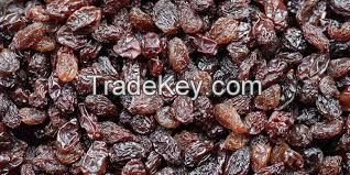 DRIED RAISINS/ SEEDLESS RAISINS