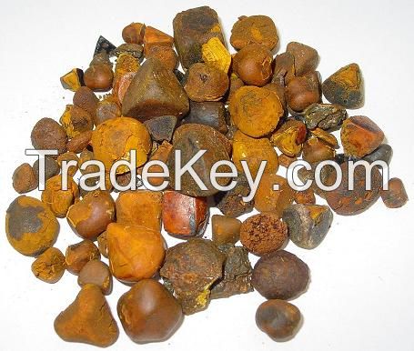 Ox Gallstones, Cattle Gallstones, Cow Gallstones