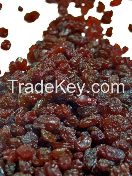 Pure Seedless Raisin