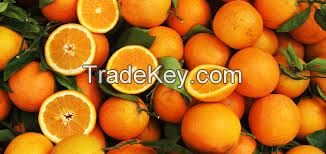 Oranges