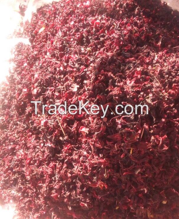 Selling Premium Grade Hibiscus Flower