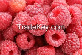 frozen raspberry