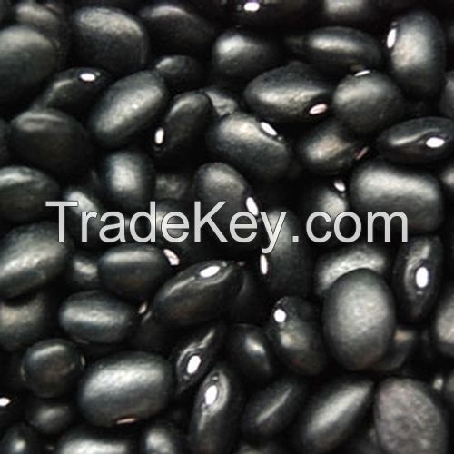 A grade black kidney beans for sale at best price