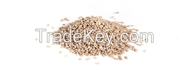 Sunflower kernels