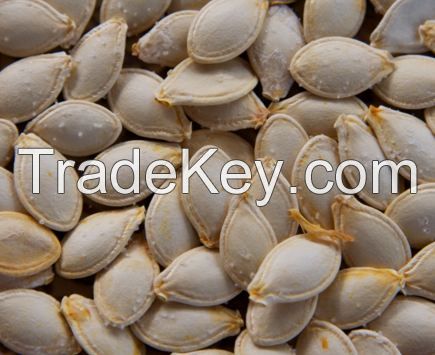 Winter Squash seeds