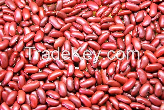 Kidney Beans