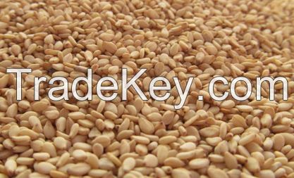 Ethopian origine Sesame Seed