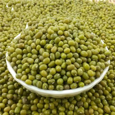 Green Mung Bean