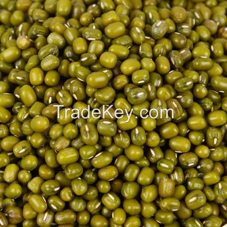 high-quality green/Mung Beans