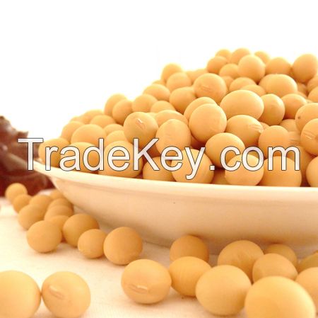 Yellow soybeans