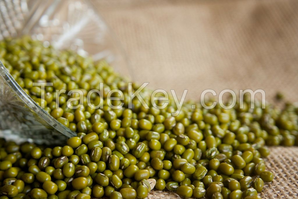 Green Mung Beans