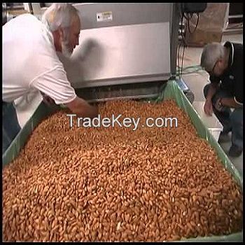 Quality Raw Almonds Available