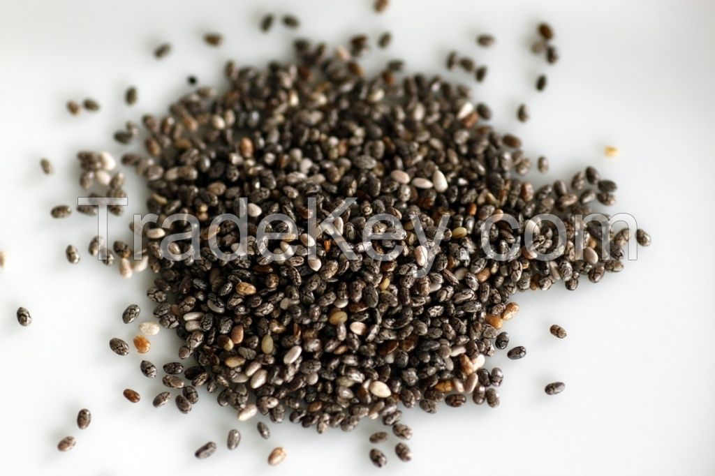 Chia Seed