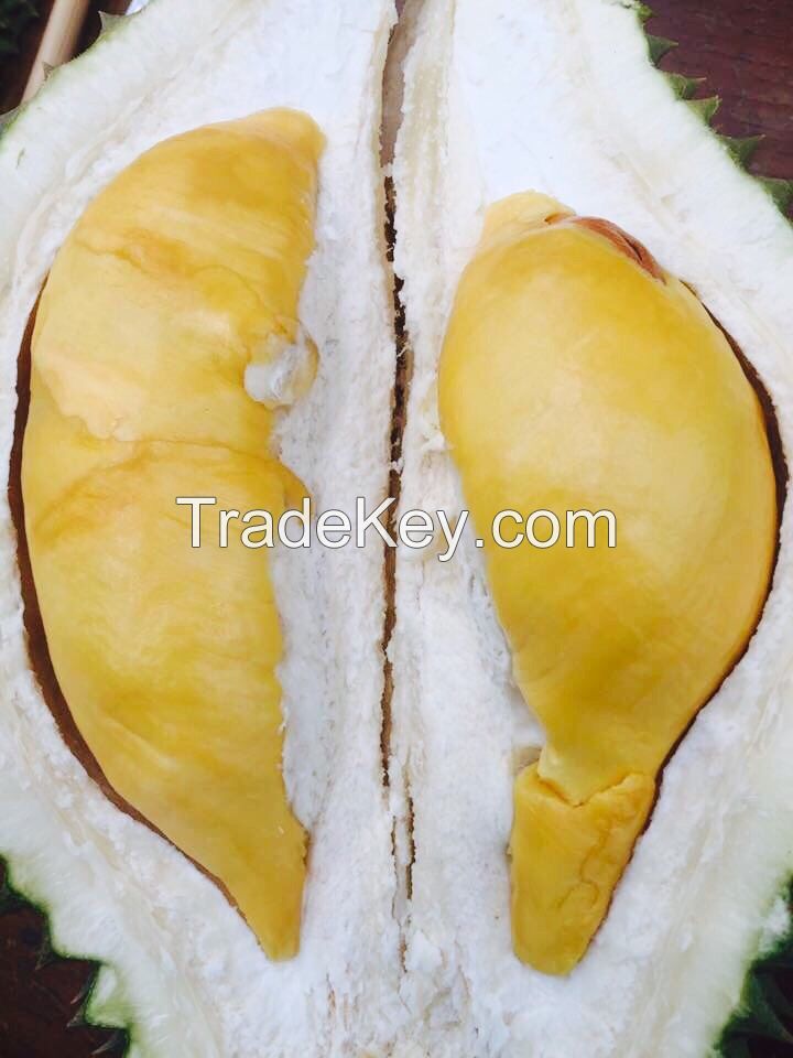 Durian From Thailand