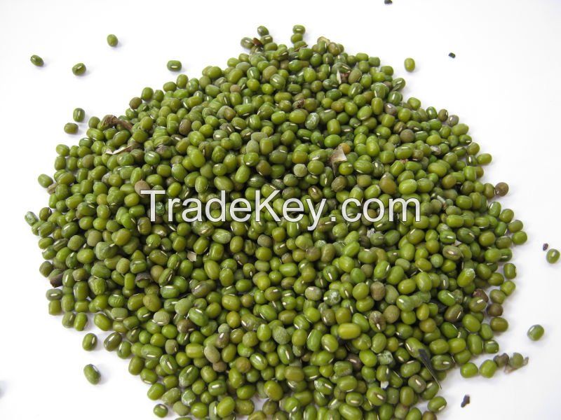 Size 2.5mm-5.0mm Green Mung Bean 2016 year