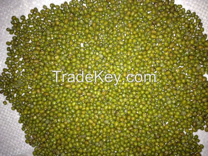 Green mung bean Mung Beans / Mung Dal / Green Beans.