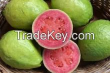 Fresh Guava