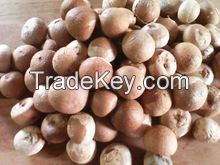 Dried Betel Nut High Quality Big size