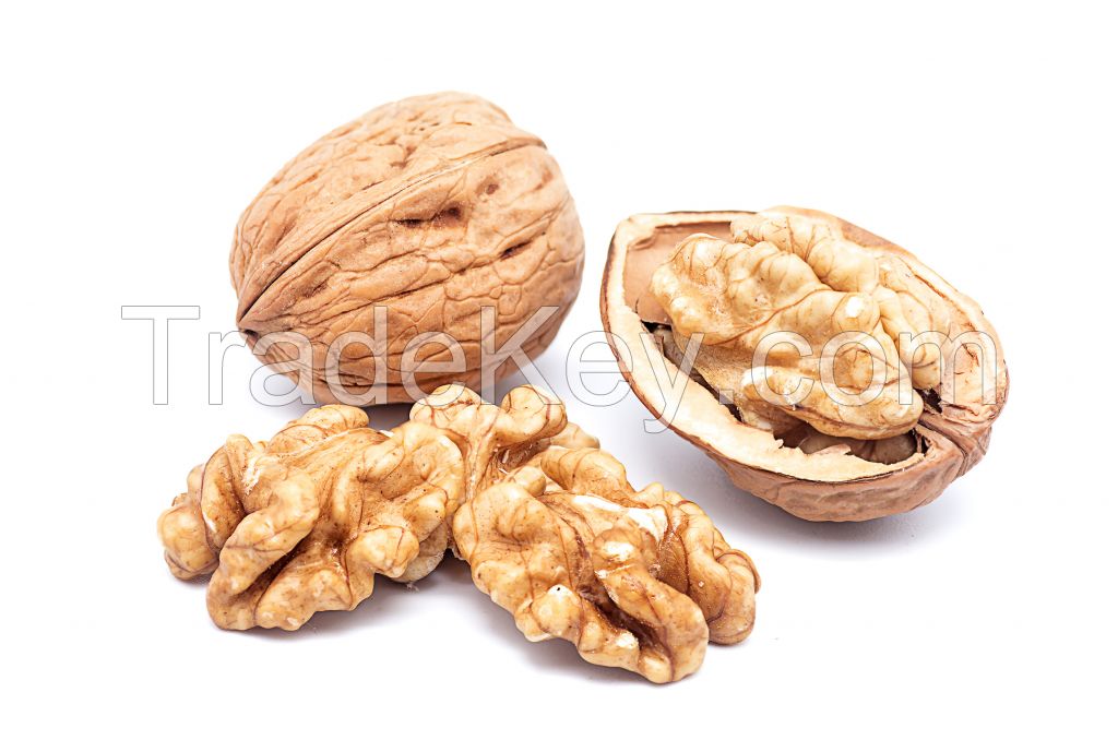 Sell/Import Light Walnut in United Kingdom