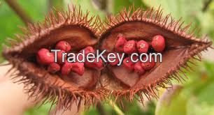 Annatto Seeds - High quality Organic Seed