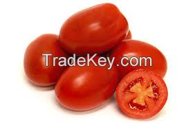 Fresh Organic High Quality Tomatoes