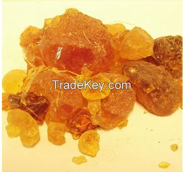 Gum Arabic