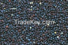 Black Mustard Seeds