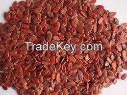 red watermelon seeds supplier