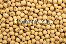 Sell Soybean